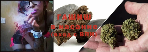 крисы Бородино