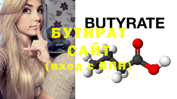 крисы Бородино