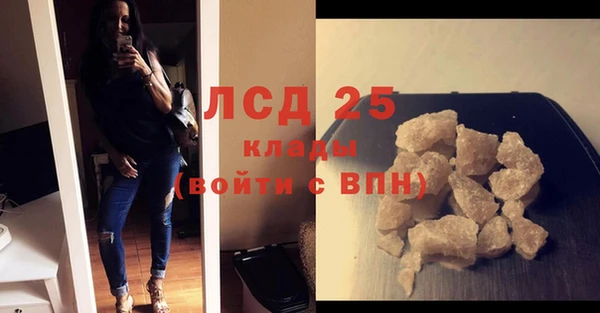 крисы Бородино