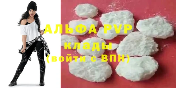 крисы Бородино