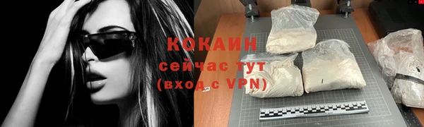 крисы Бородино