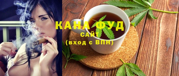 крисы Бородино