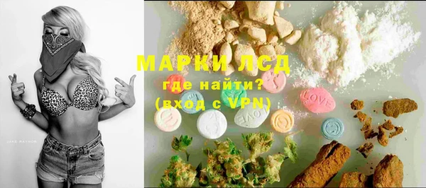 крисы Бородино
