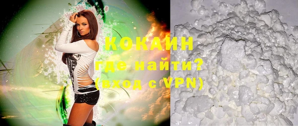 крисы Бородино
