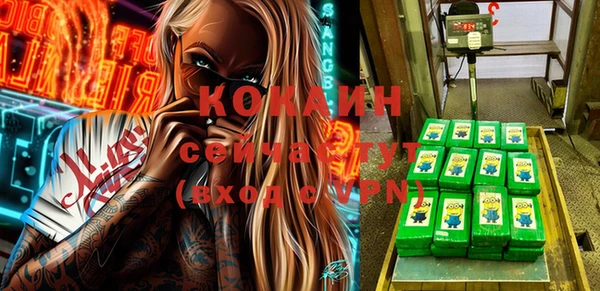 крисы Бородино