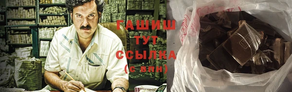 крисы Бородино